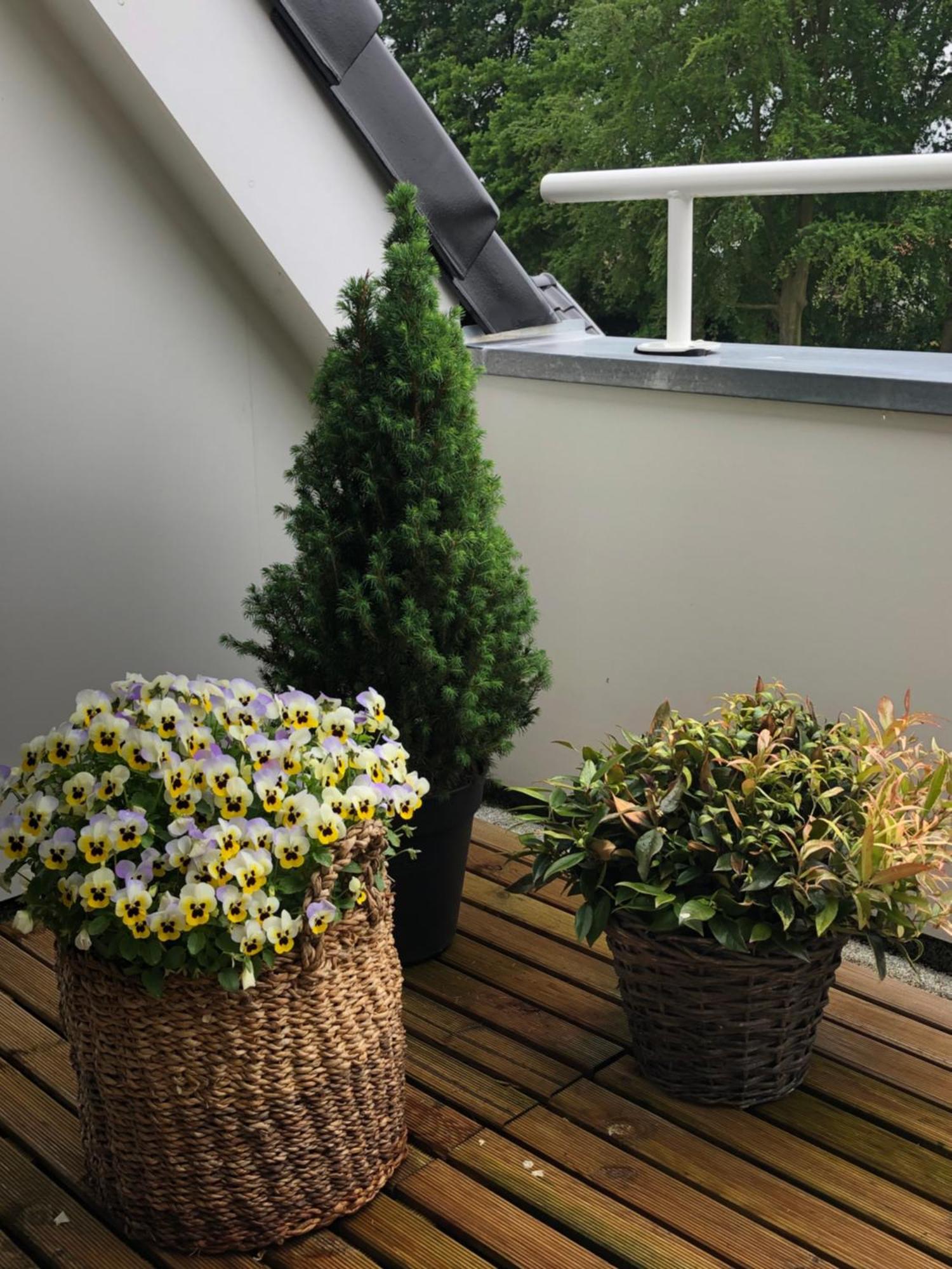 De Bakkerij Apartment Deurningen Екстериор снимка